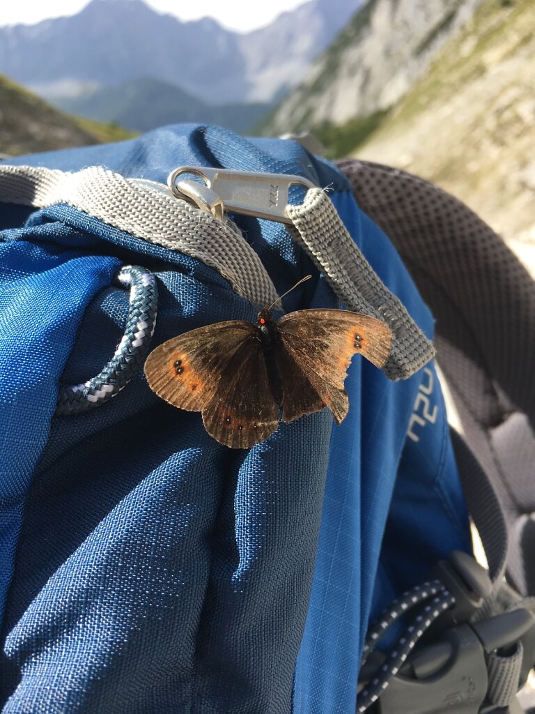 26.08.2017 Schöne Begegnung