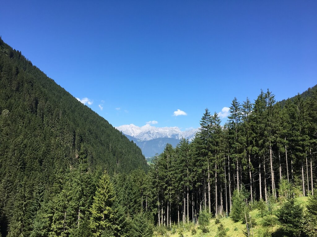 29.08.2017 Es rückt in die Ferne