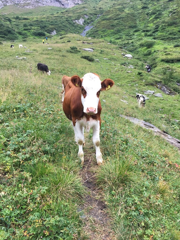 10.08.2018 Du oder ich?