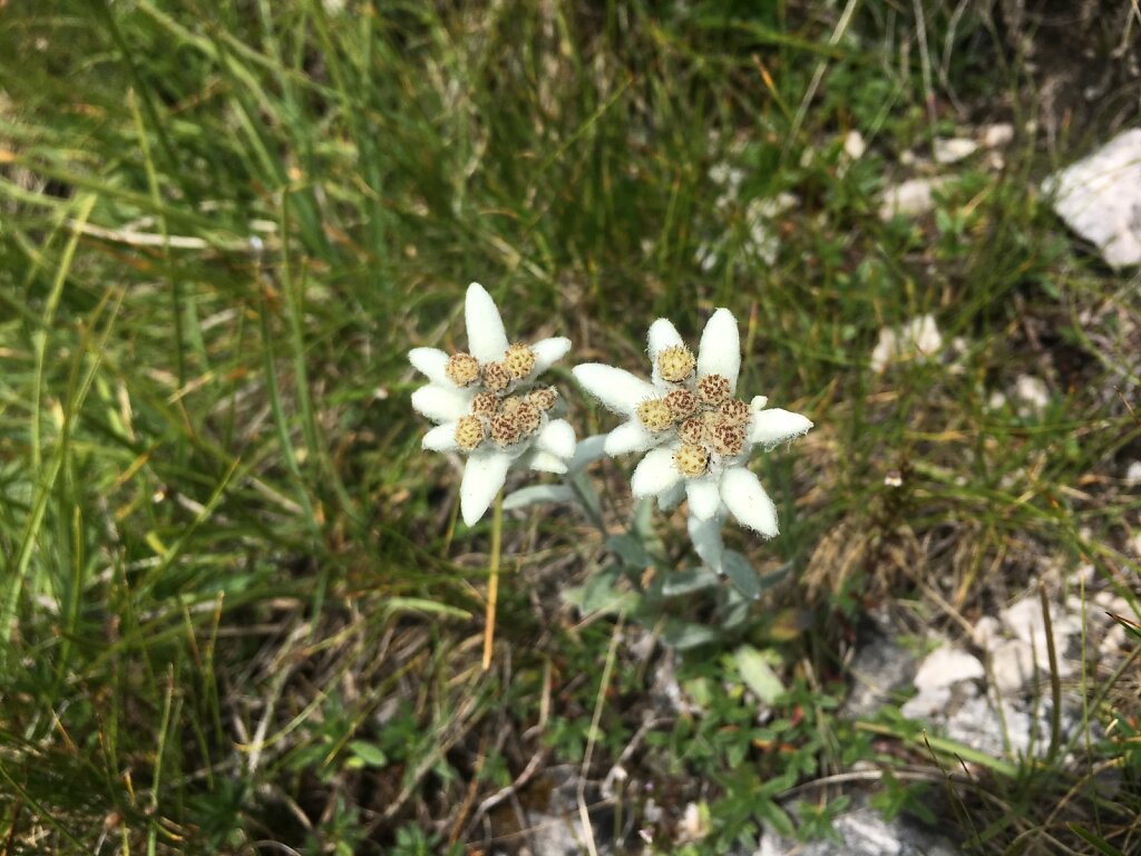 12.08.2018 Unbeschreiblich...