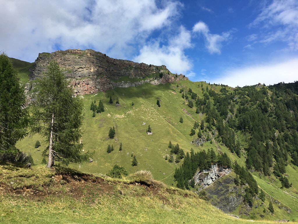 14.08.2018 Berge bedeckt von Schafen