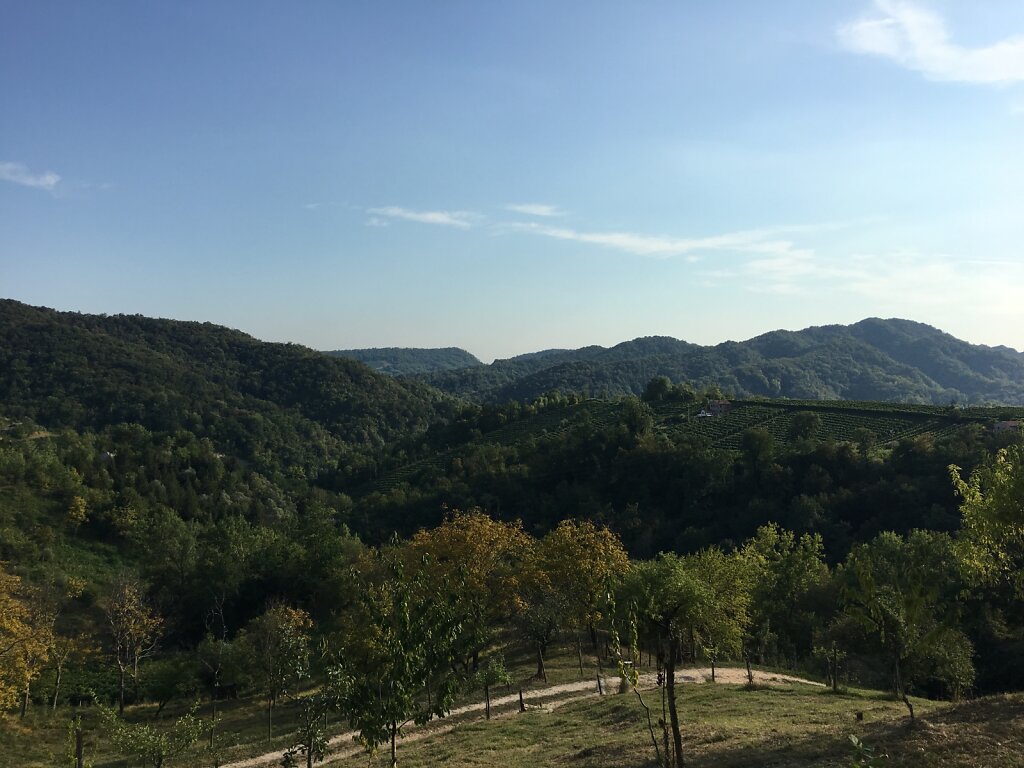 20.08.2018 Blick in die Prosecco-Berge