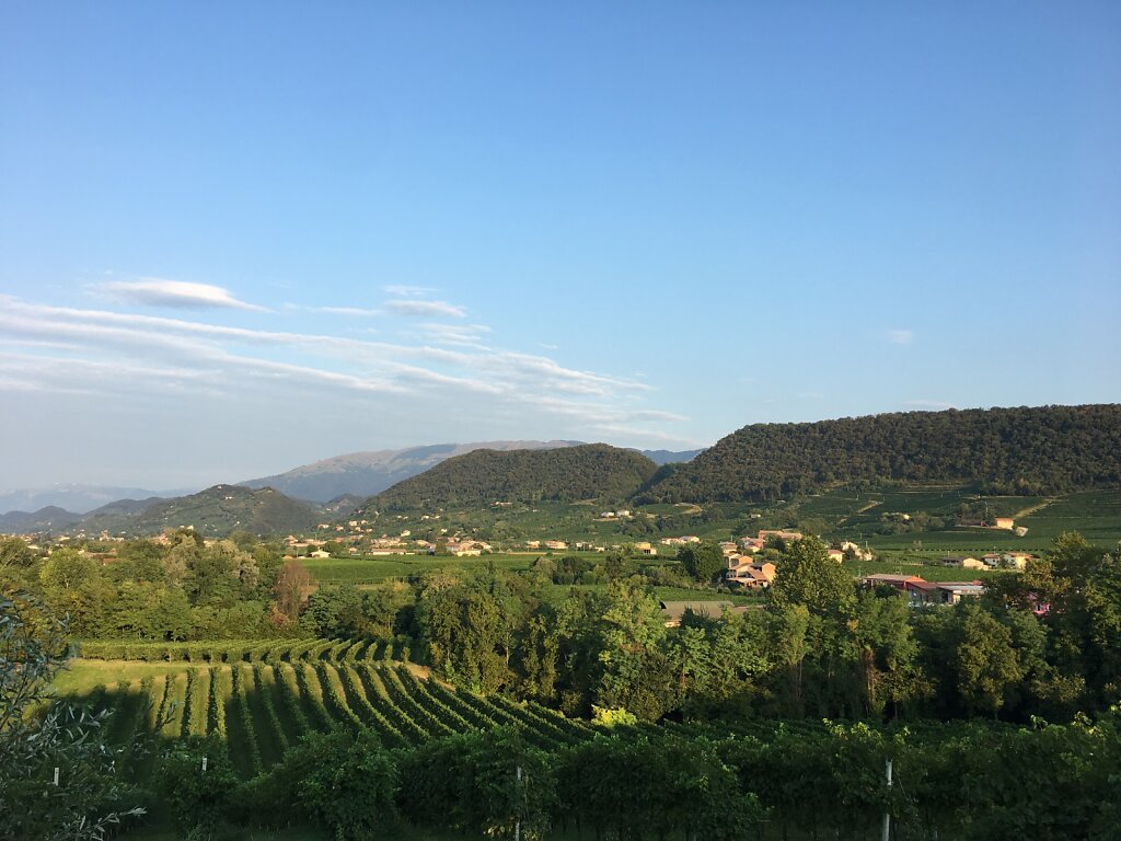 21.08.2018 Wein so weit das Auge reicht...