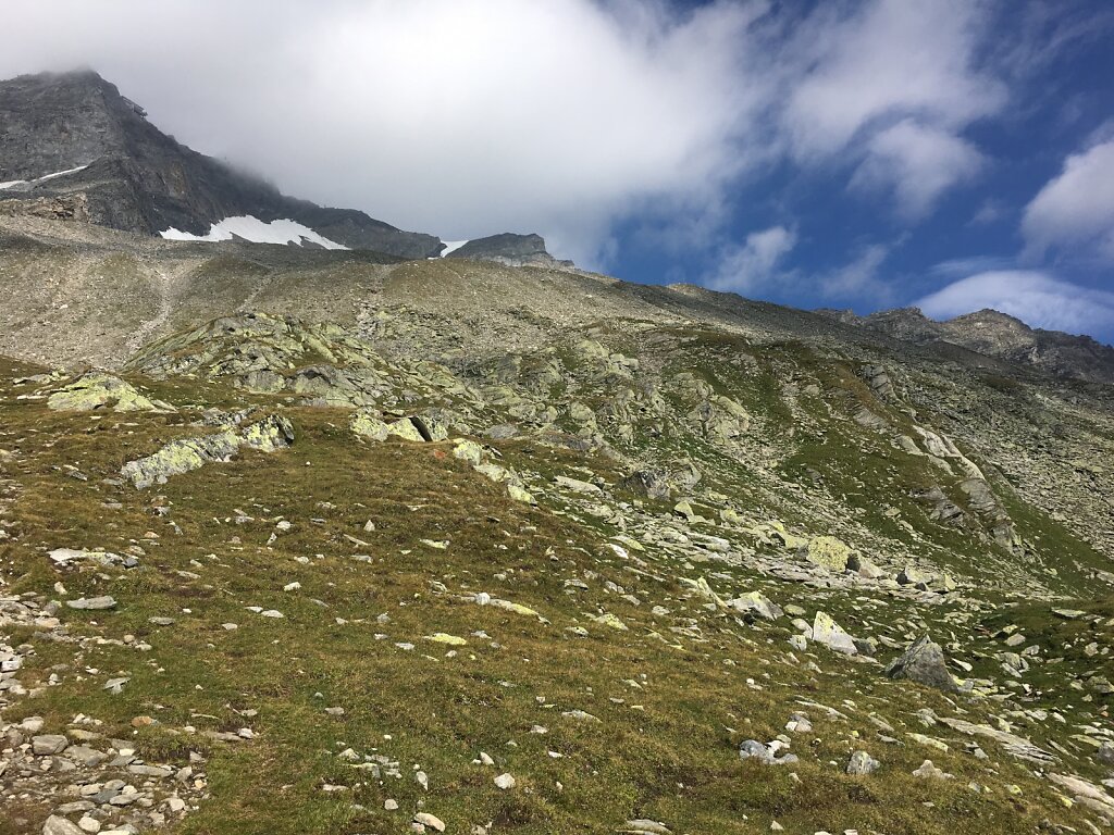 09.08.2018 Gelber Berge?