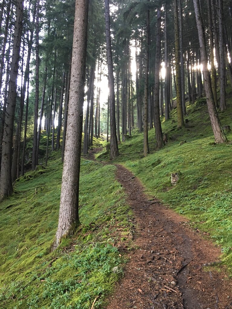 11.08.2018 Bergwärts