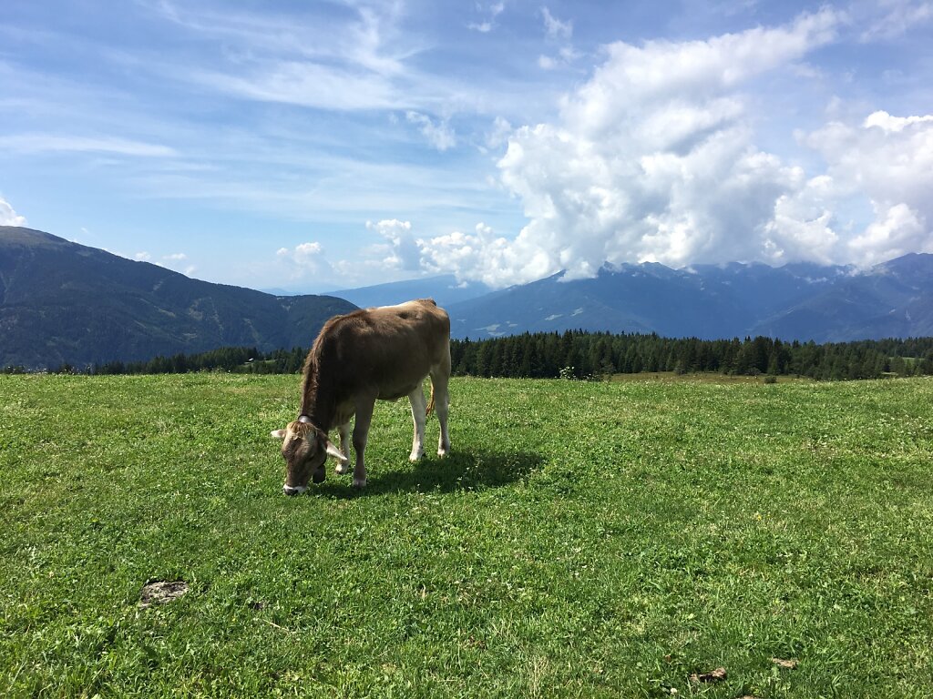 11.08.2018 Allein auf weiter Flur