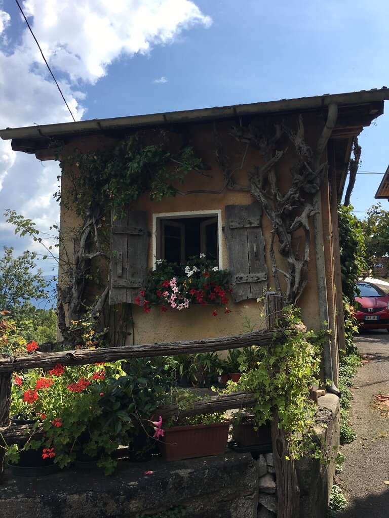 18.08.2018 Kleines Idyll am Straßenrand