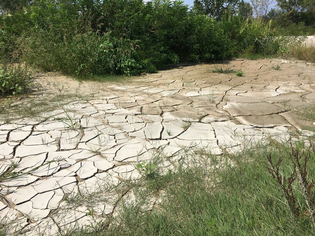 21.08.2018 Das Wetter in Bildern