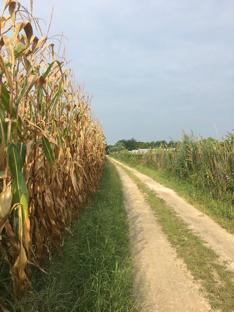 24.08.2018 Die letzten Meter in Einsamkeit