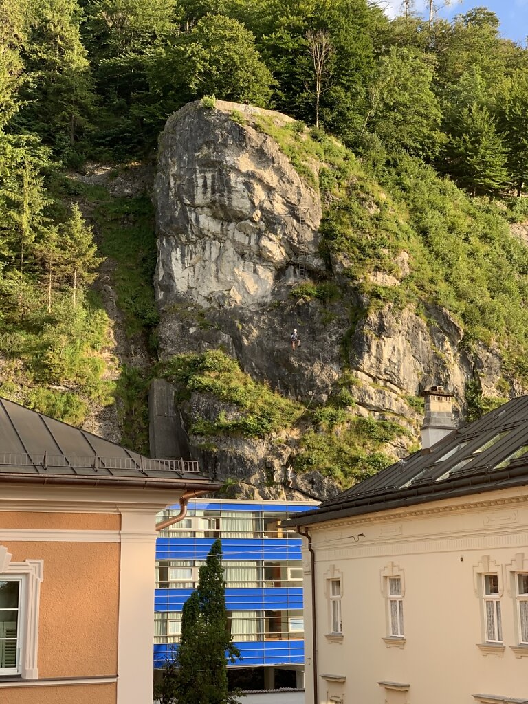 02.08.2021 Bergziegen vor dem Hotelfenster