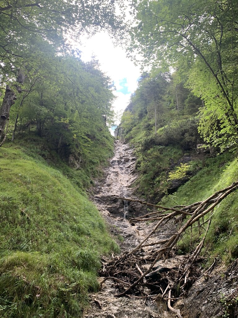 03.08.2021 Nicht mein Weg...