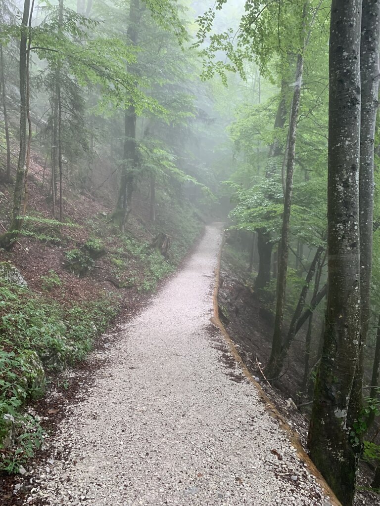 05.08.2021 Im Nebel nach oben