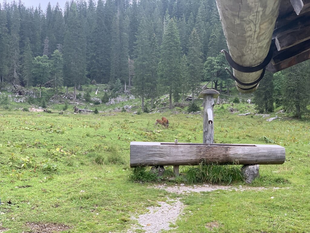 06.08.2021 Abendlicher Besuch an der Hütte