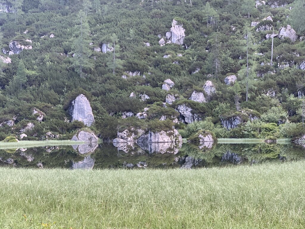 07.08.2021 Spiegelungen im Schwarzsee