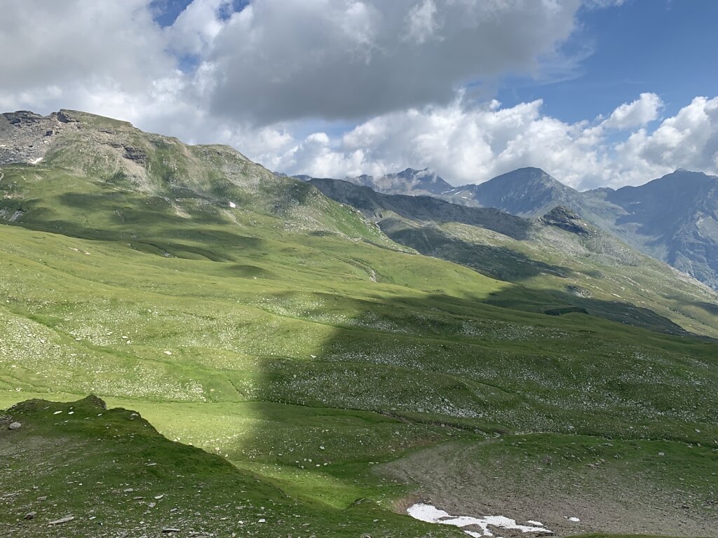 12.08.2021 Ein grüner Blick zurück