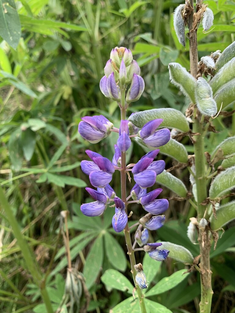 13.08.2021 Schöne Farben