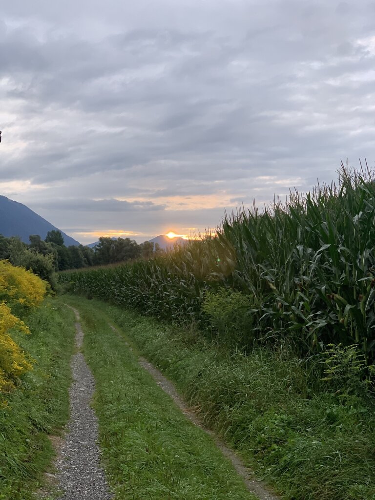 18.08.2021 Früh morgens durch's Tal