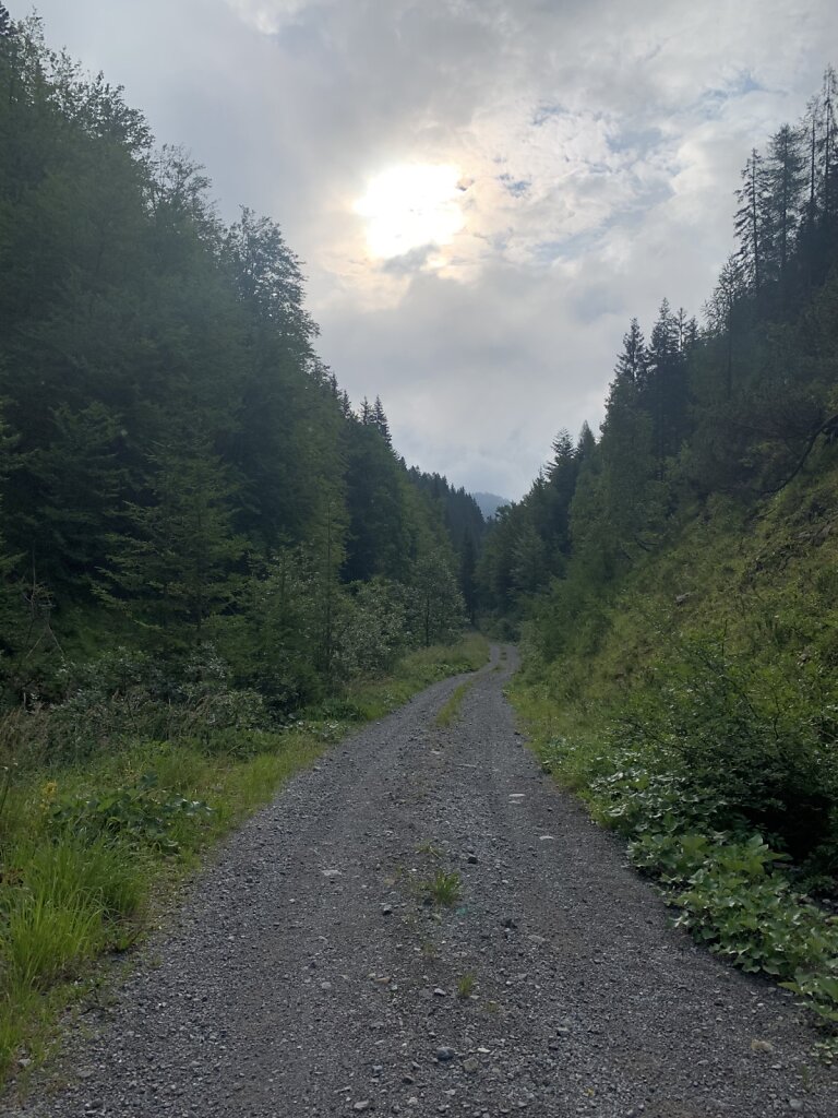 18.08.2021 Bergab durch das Gitschtal