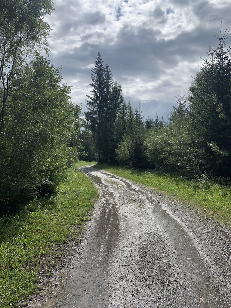 18.08.2021 Sonne und Regen im Wechsel