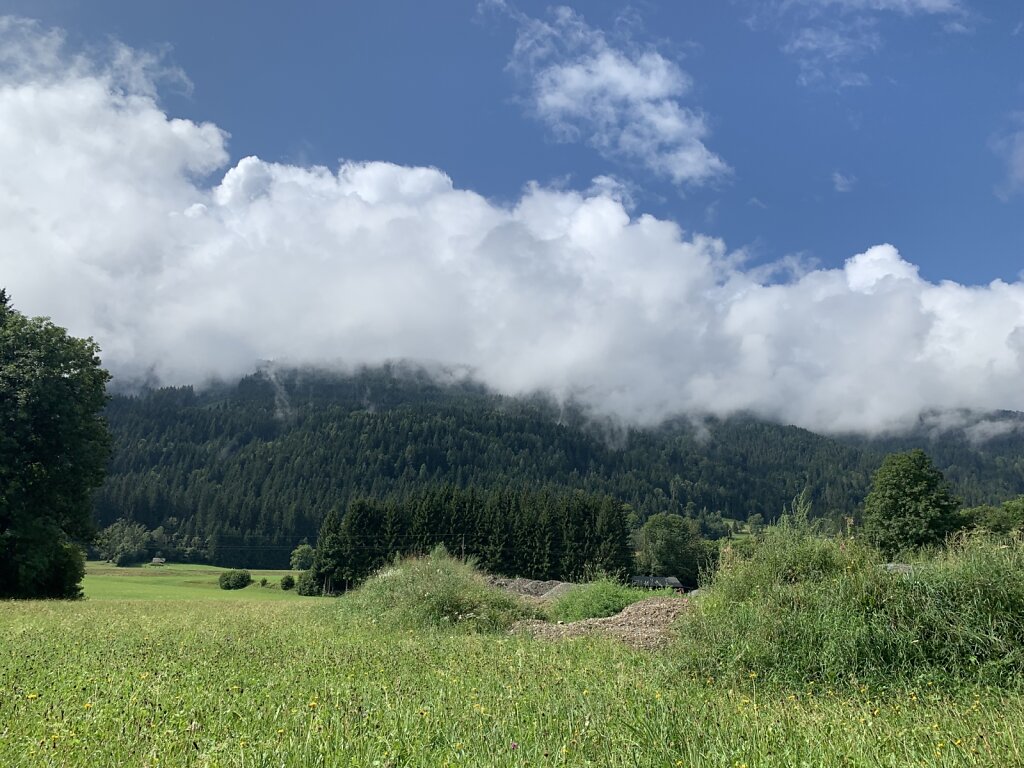 18.08.2021 Die Sonne setzt sich durch