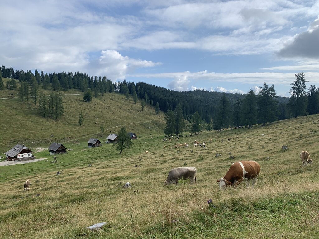 19.08.2021 Die Dellacher Alm