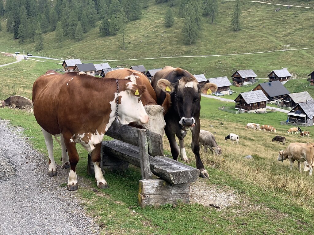 19.08.2021 Besetzte Frückstücksbank...