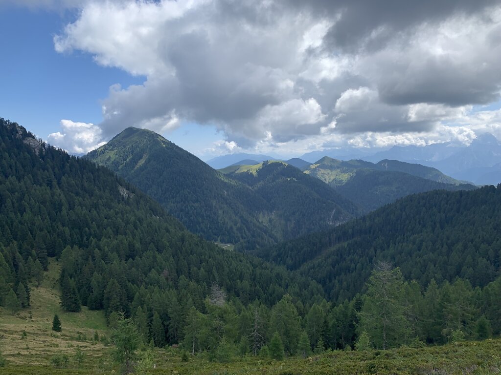 19.08.2021 Wald ohne Ende