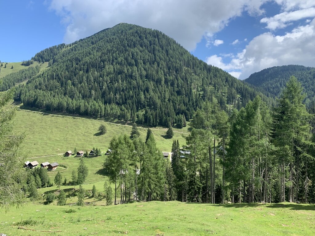 19.08.2021 Die Dolinza-Alm