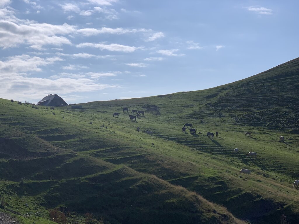 20.08.2021 Die Feistritzer Alm