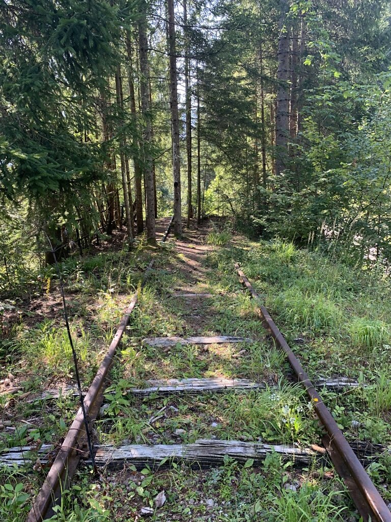 21.08.2021 Bahnfahrt in's Nichts...