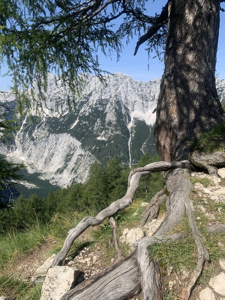 22.08.2021 Oben angekommen