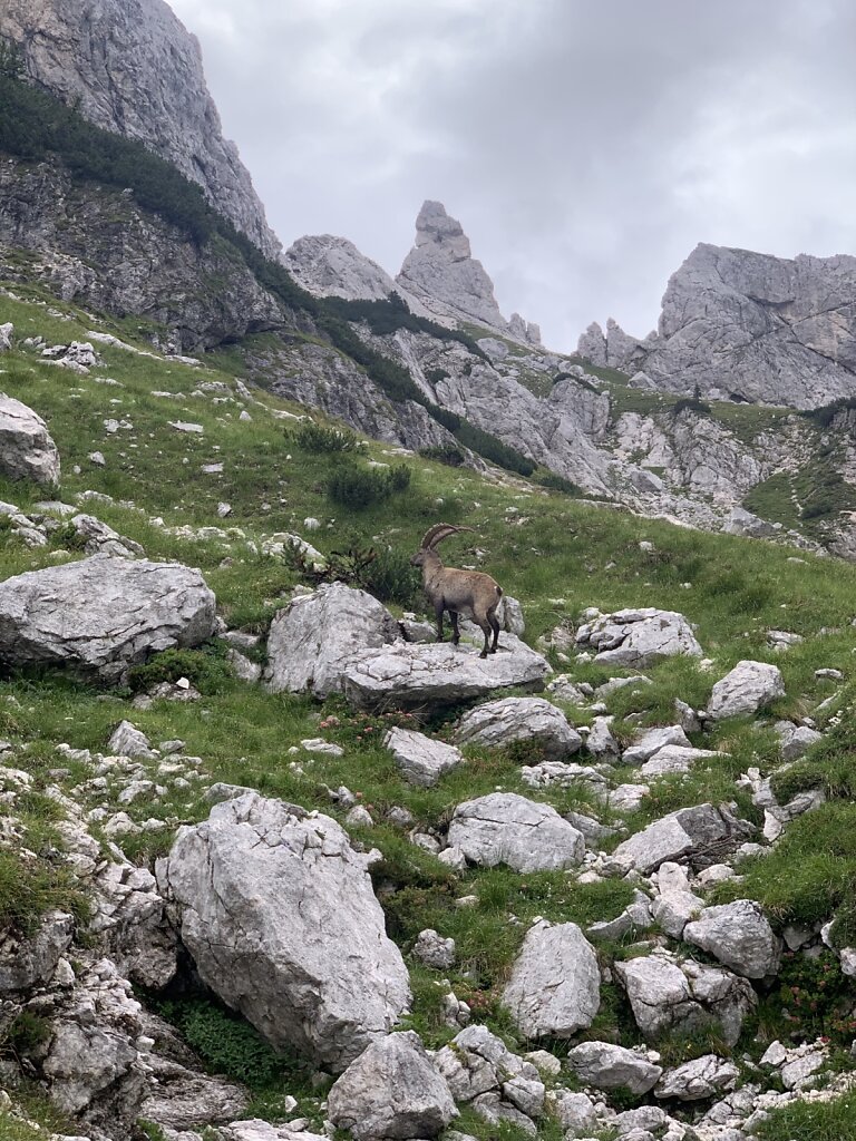 23.08.2021 Guten Morgen!