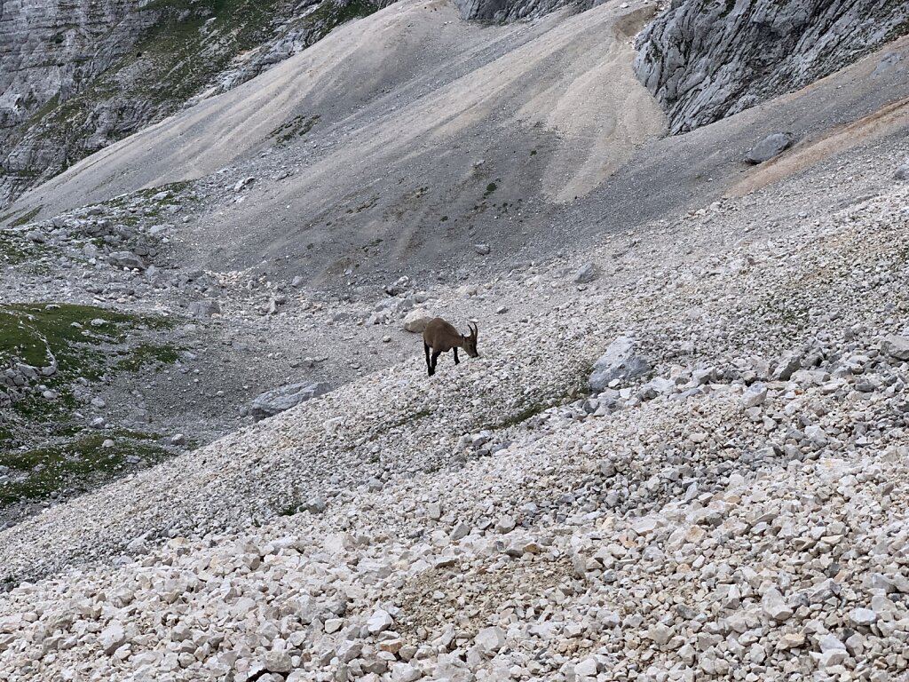 23.08.2021 Unbeeindruckt von mir