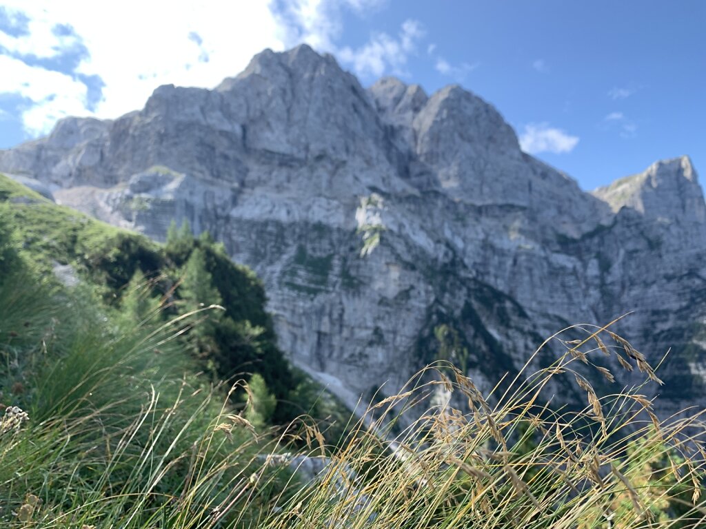 24.08.2021 Auch Nahes hat seinen Reiz