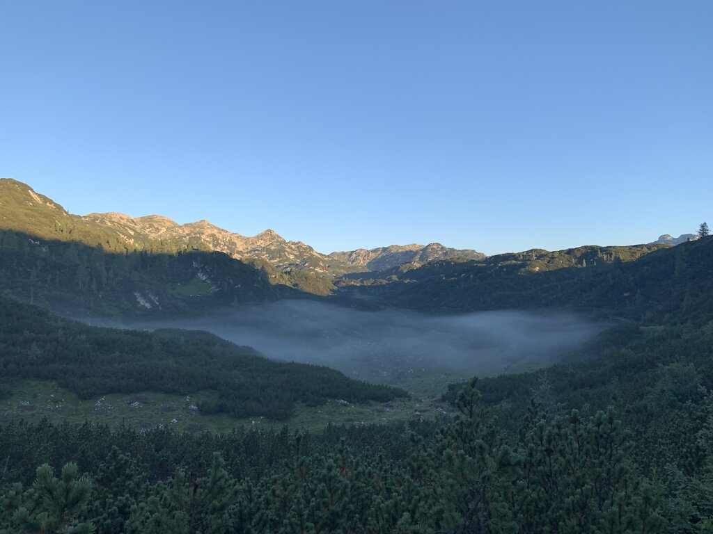 26.08.2021 Letzte Nebelfelder in der Senke