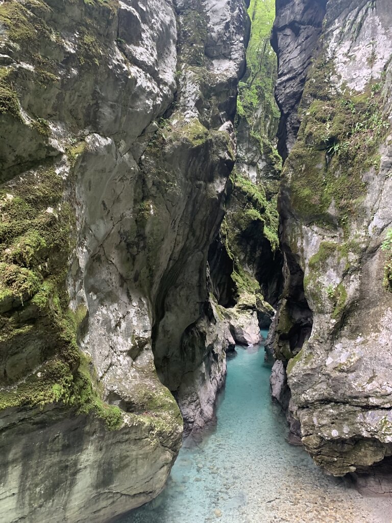 26.08.2021 Überall schmale Durchgänge