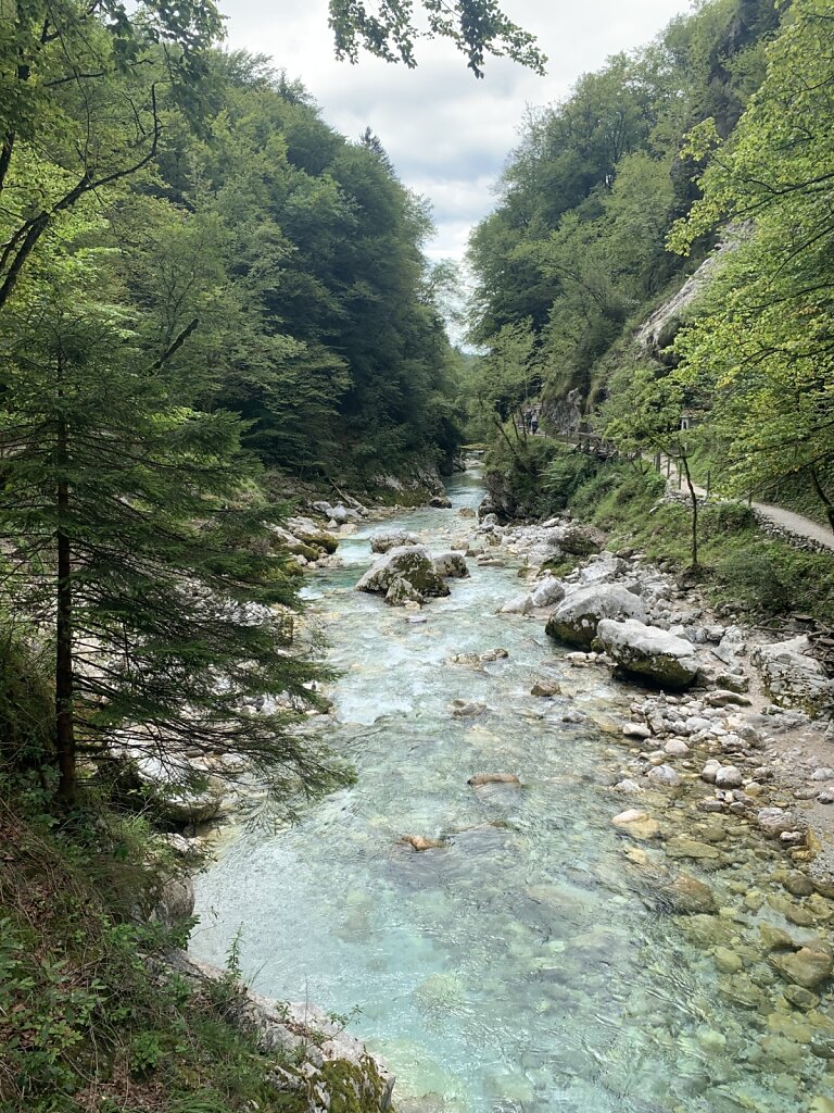 26.08.2021 Es gab kein Sattsehen