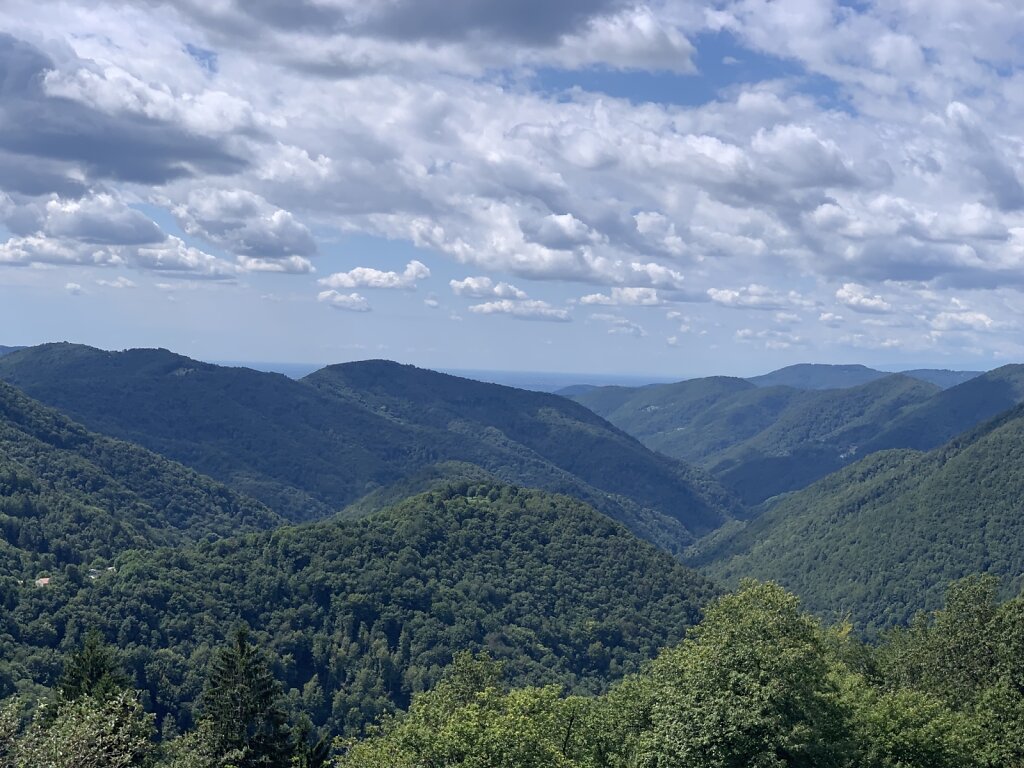 27.08.2021 Und wieder Wald ohne Ende