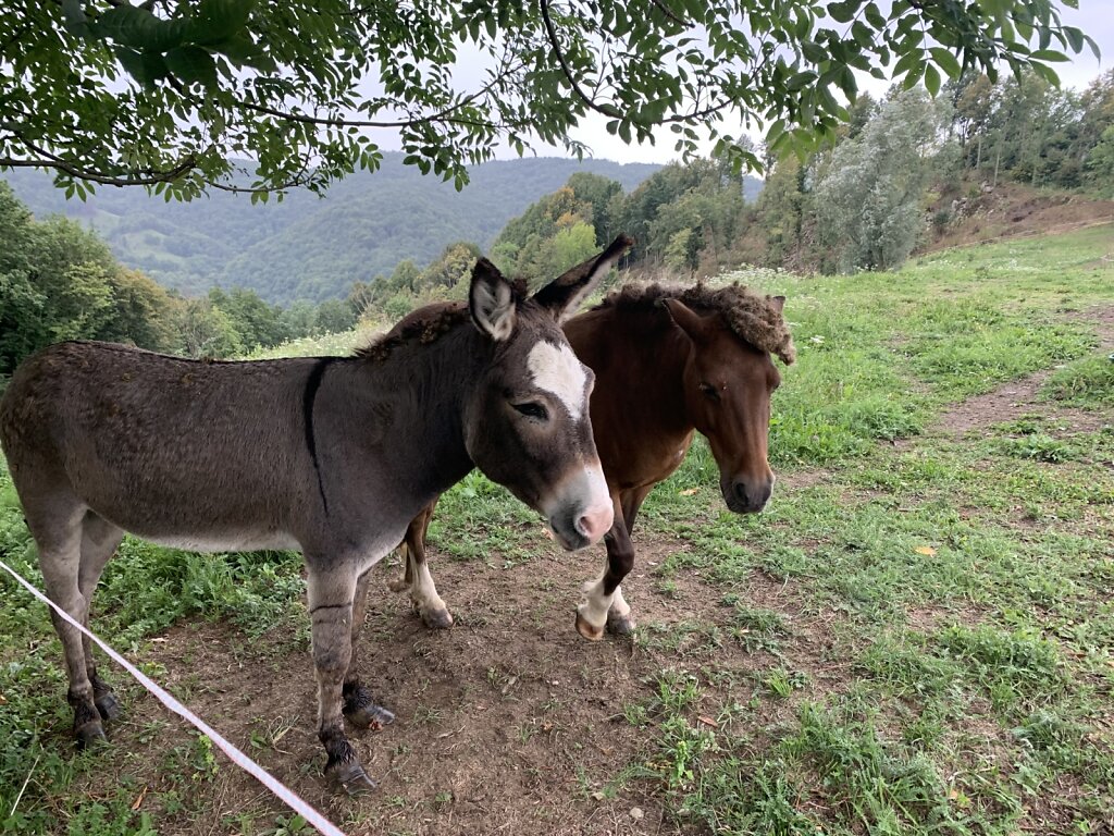 28.08.2021 Cooler Friseur ;-)