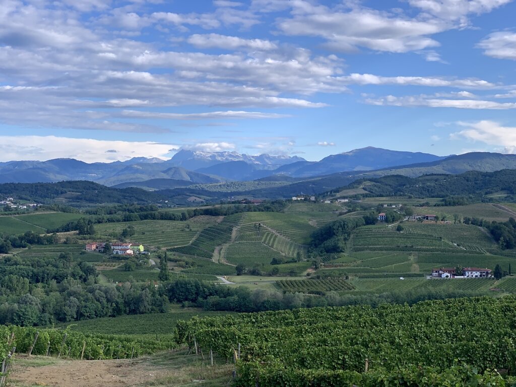 29.08.2021 Wein und Berge